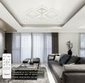 Потолочная люстра Natali Kovaltseva OPTI LED LAMPS 81229