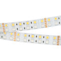 Лента RT-B144-19mm 24V RGBW-Day (32 W/m, IP20, 5m) ( Arlight , -)