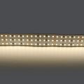 Светодиодная лента Lightstar 44W/m 360LED/m дневной белый 5M 423004