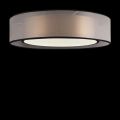 Потолочный светодиодный светильник Freya Zoticus FR6005CL-L36G