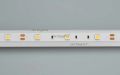  Arlight Лента RT 2-5000 12V White6000 (5060, 150 LED, LUX) (ARL, 7.2 Вт/м, IP20)