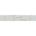  Arlight Лента RT 2-2500 24V Day4000 4x2 (2835, 700 LED, LUX) (ARL, 30 Вт/м, IP20)