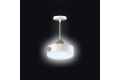 Подвесной светодиодный светильник Ritter Scandia 52077 1