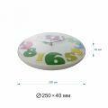  Apeyron clock Настенные часы (25x4 см) PL1712034