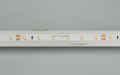 Arlight Лента RT 2-5000 24V White6000 (3528, 300 LED, LUX) (ARL, 4.8 Вт/м, IP20)