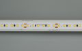  Arlight Лента IC2-20000 24V Warm2700 2x 12mm (2835, 120 LED/m, Long) (ARL, 9.6 Вт/м, IP20)