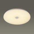 Потолочный светодиодный светильник Sonex Roki Muzcolor 4629/CL