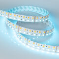Лента RT-B144-19mm 24V RGBW-Day (32 W/m, IP20, 5m) ( Arlight , -)