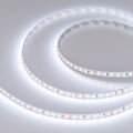  Arlight Лента MICROLED-M240-8mm 24V White-MIX (19.2 W/m, IP20, 2216, 5m) (ARL, Открытый)