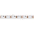  Arlight Лента RS 2-5000 24V Warm2700 2x2 15mm (3014, 240 LED/m, LUX) (ARL, 19.2 Вт/м, IP20)