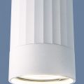 Накладной светильник Elektrostandard DLN111 a047754