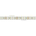  Arlight Лента RT 2-5000 24V White6000 2x2 (3528, 1200 LED, LUX) (ARL, 19.2 Вт/м, IP20)