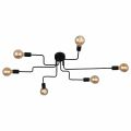 Потолочная люстра Evoluce Ano SL419.442.06