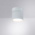 Светильник на штанге Arte Lamp Intercrus A5549PL-1WH