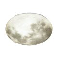 Настенно-потолочный светодиодный светильник Sonex Moon 3084/CL