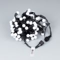  Arlight Светодиодная гирлянда ARD-BALL-CLASSIC-D17.5-20000-BLACK-200LED WHITE (230V, 14W)