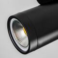 Светильник на штанге Lightstar Rullo 213407