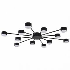 Потолочная люстра Lumion TORINA 8344/12C