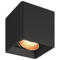 Накладной светильник Denkirs DK3030 DK3080-BBR