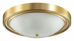 Накладной светильник Lumion Nina 5259/3C