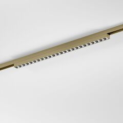 Накладной светильник Elektrostandard 85529/01