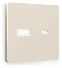Накладка для розетки type A и C Ambrella Volt Quant AP3310