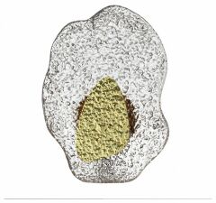 Накладной светильник Odeon Light L-VISION 5460/12WLA