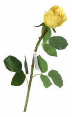  АРТИ-М Цветок (50 см) Роза 23-268