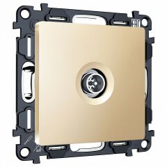 ТВ-розетка оконечная без рамки Ambrella Volt ALFA MA613005