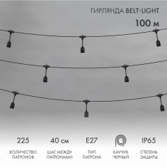  Neon-Night Гирлянда Супернить Belt-Light 331-231
