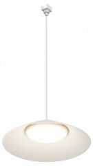 Подвесной светильник Maytoni Outdoor Campana O-TR01-1-P-12WW3K