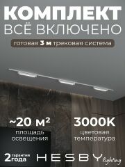 Комплект трековый Hesby Lighting Skylite №1 HSBL_kompl_S001_NI3W3K_01
