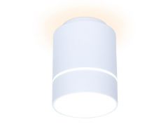 Потолочный светодиодный светильник Ambrella Light Techno Spot TN255