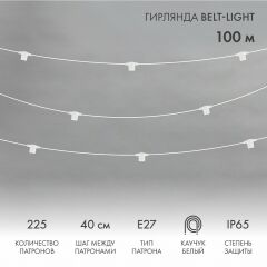  Neon-Night Гирлянда Супернить Belt-Light 331-232