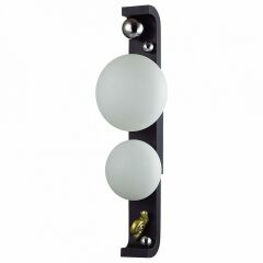 Накладной светильник Odeon Light NATURE 5434/2W