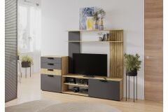  BTS Стенка для гостиной Мишель