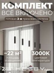 Комплект трековый Hesby Lighting Skylite №12 HSBL_kompl_S012_NI2B3K