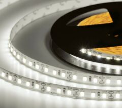 Лента светодиодная ELFLED ELF-600SMD2835NWw6500-u