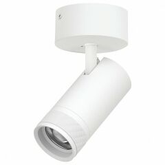 Спот Lightstar Canno Pro C4306SO