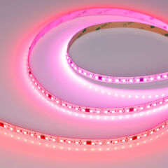 Лента SPI-A120-10mm 24V RGB-PX6-BPT (23 W/m, IP20, 2835, 5m) ( Arlight , бегущий огонь)
