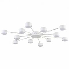 Потолочная люстра Lumion TORINA 8343/12C