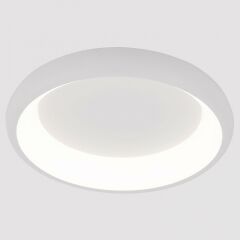 Накладной светильник Arte Lamp None A2694PL-45WH