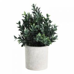 Растение в горшке Eglo Chitose 428028