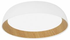 Накладной светильник Evoluce MUSE SLE1812-502-01