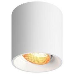 Накладной светильник Denkirs DK3020WW DK3090-WBR