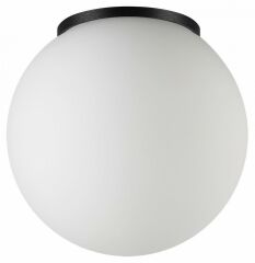 Накладной светильник Odeon Light NATURE 7124/1C
