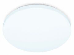 Накладной светильник Ambrella Light FZ FZ1008