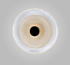 Накладной светильник Aployt Stusia APL.350.01.03