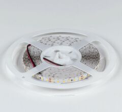 Лента светодиодная DesignLed DSG3120 00-00000153