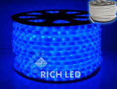  Rich LED Шнур световой RL-DL-2WHM-100-240-B